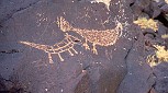A petroglyph in nearby Petroglyph National Monument